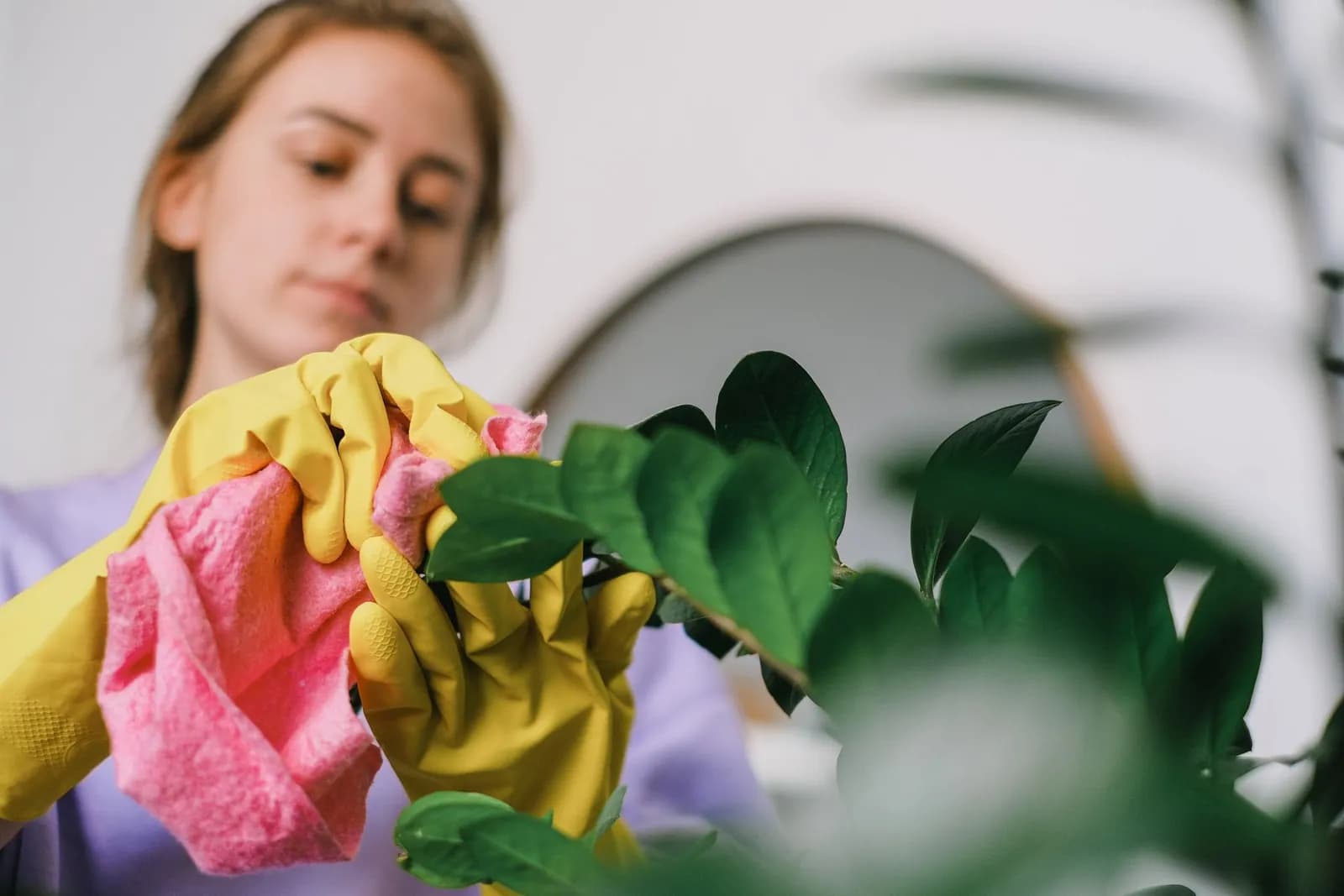 Green & Eco-Friendly Cleaning